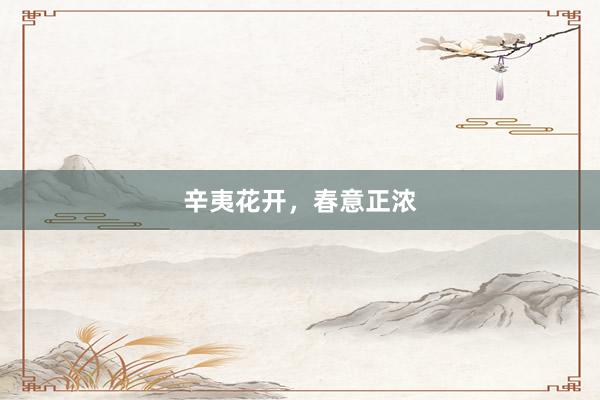 辛夷花开，春意正浓