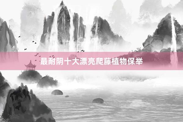 最耐阴十大漂亮爬藤植物保举